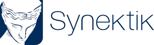 logo dsynektik